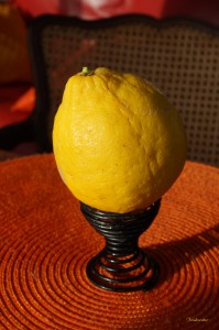 citron 2 001