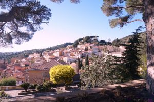 Bormes les mimosas 014