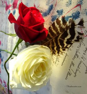 roses-et-poesie-003